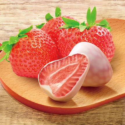 【任选专区】沙发猫冻干草莓28g奶酪